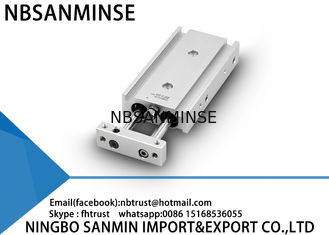 Tùy chỉnh Double Rod Khí nén xi lanh khí Loại cơ bản 6 mm 10 mm Kích thước lỗ khoan