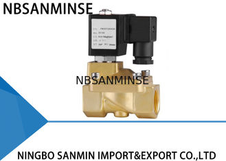 Tùy chỉnh PM 2/2 Way Van Solenoid Van Chốt Van Solenoid cho Gas
