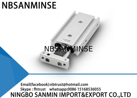 Tùy chỉnh Double Rod Khí nén xi lanh khí Loại cơ bản 6 mm 10 mm Kích thước lỗ khoan