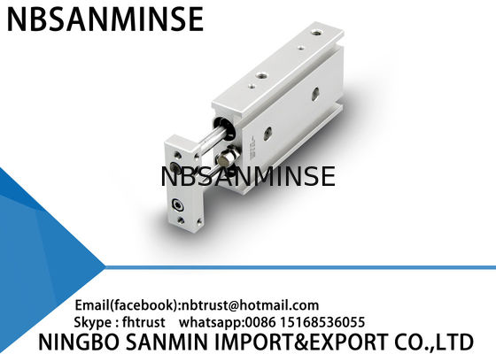 Tùy chỉnh Double Rod Khí nén xi lanh khí Loại cơ bản 6 mm 10 mm Kích thước lỗ khoan