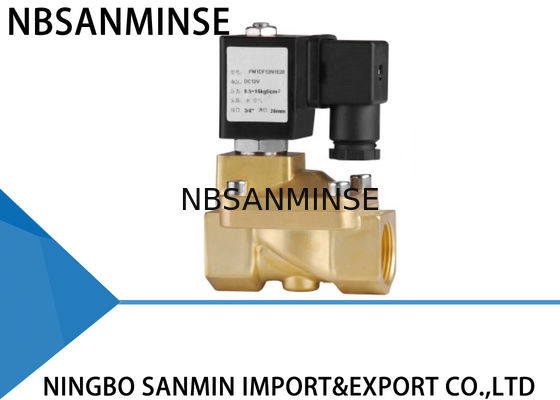 Tùy chỉnh PM 2/2 Way Van Solenoid Van Chốt Van Solenoid cho Gas