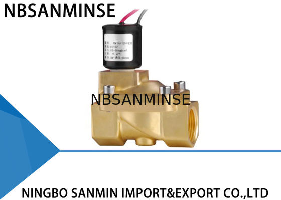 Tùy chỉnh PM 2/2 Way Van Solenoid Van Chốt Van Solenoid cho Gas
