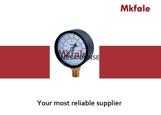 Đồng hồ đo áp suất chất lỏng bằng thép không gỉ SMTB Vỏ thép đen G / NPT / Chủ đề khác